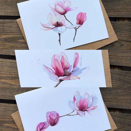 Magnolia #2 Greeting Cards