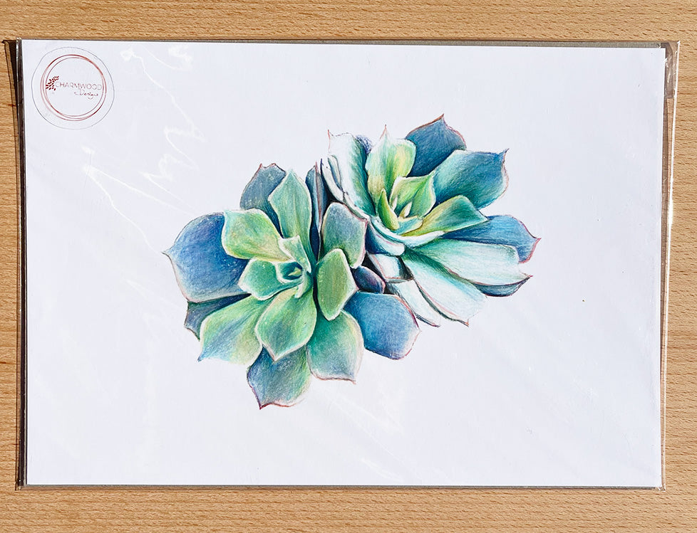 succulent artworks Succulents Prints