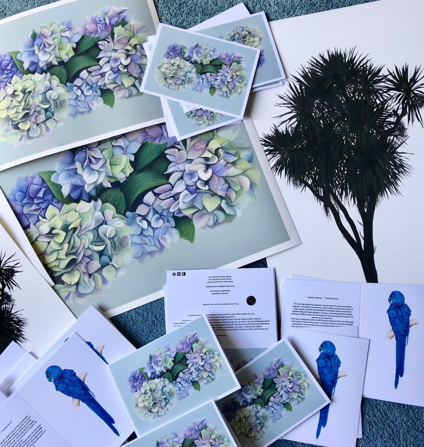 Hydrangeas Prints