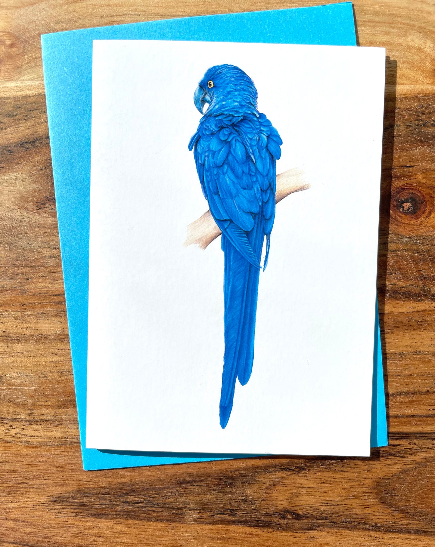 Blue Parrot Cards