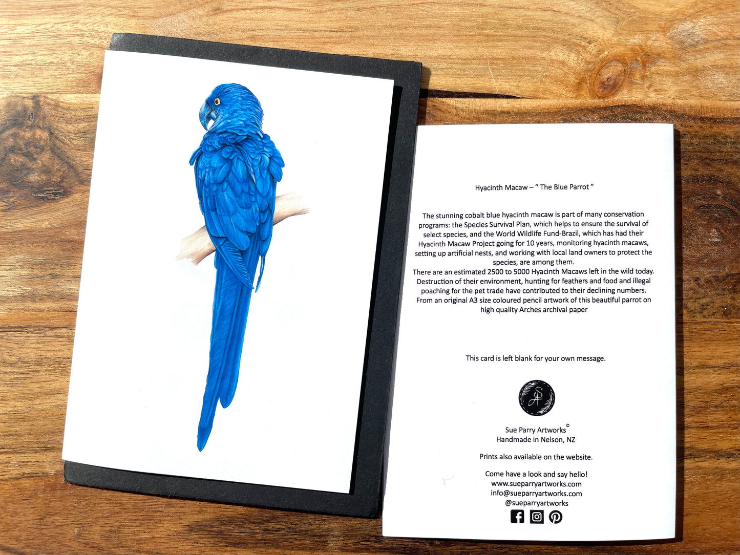 Blue Parrot Cards