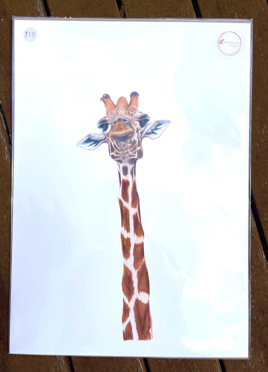 Solo Giraffe Prints