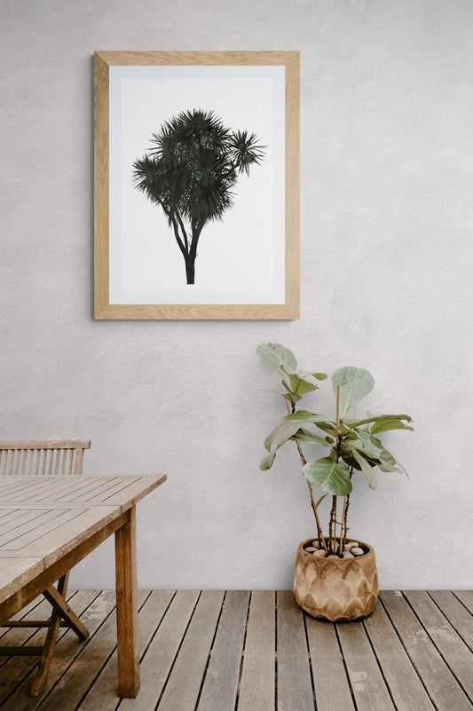Cabbage Tree Prints