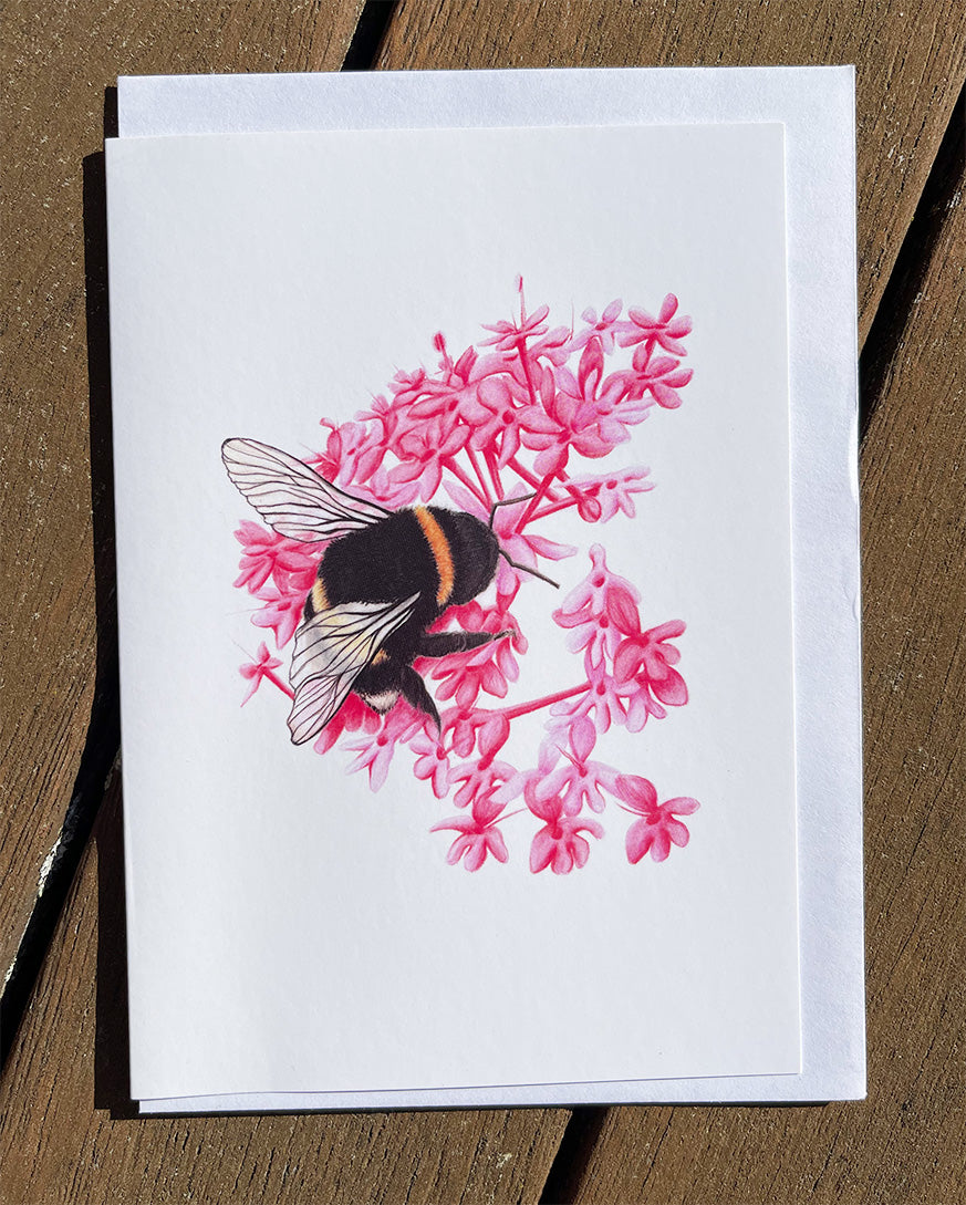 Bumble Bee #2 Cards
