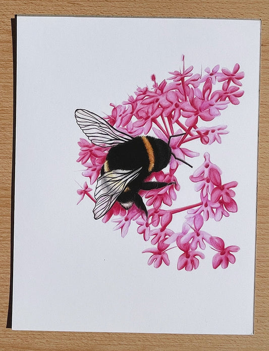 Bumble Bee #1 Prints