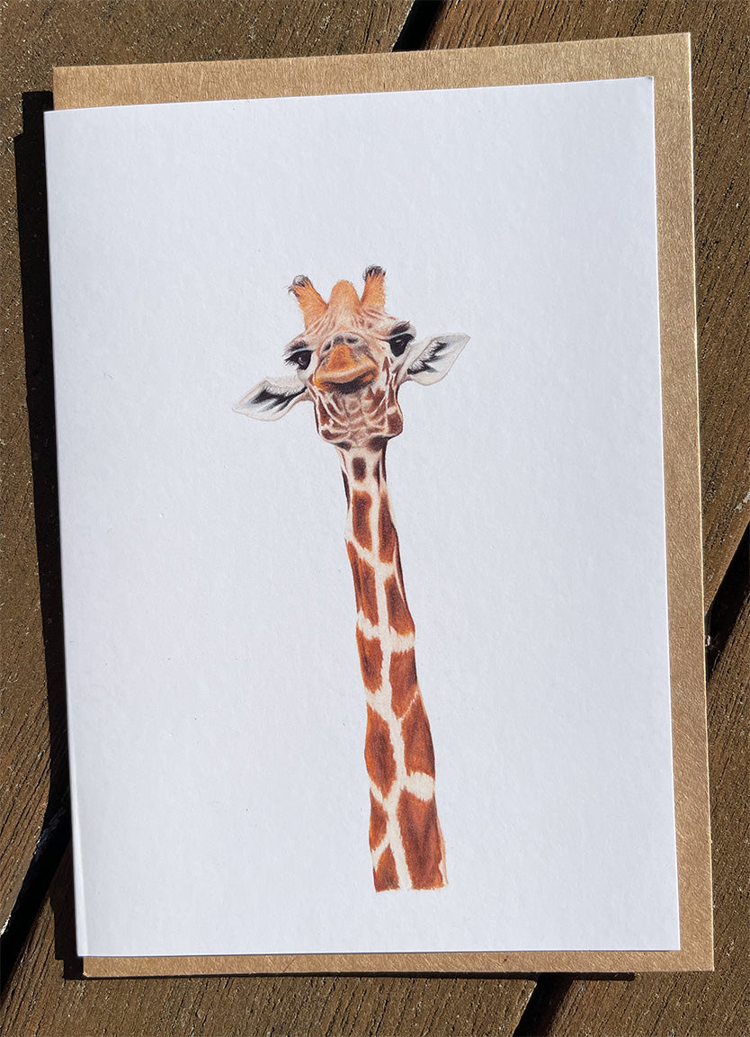 Solo Giraffe Cards