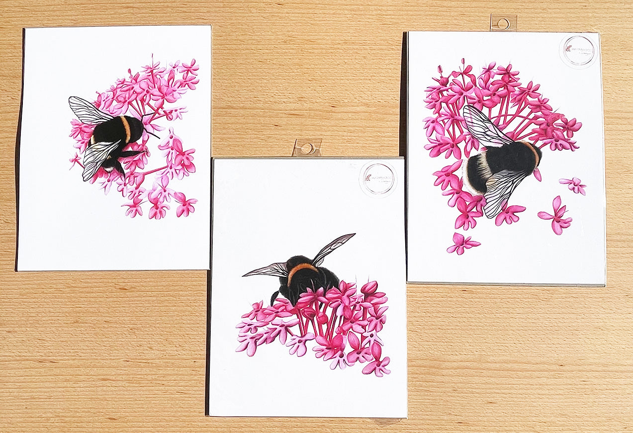 Bumble Bee #1 Prints