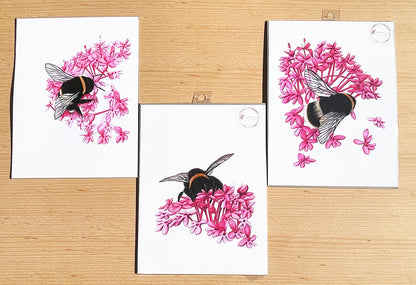 Bumble Bee #1 Prints