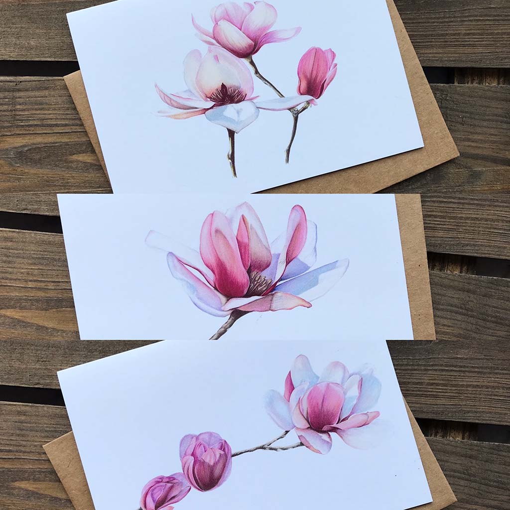 Magnolia #1 Greeting Cards