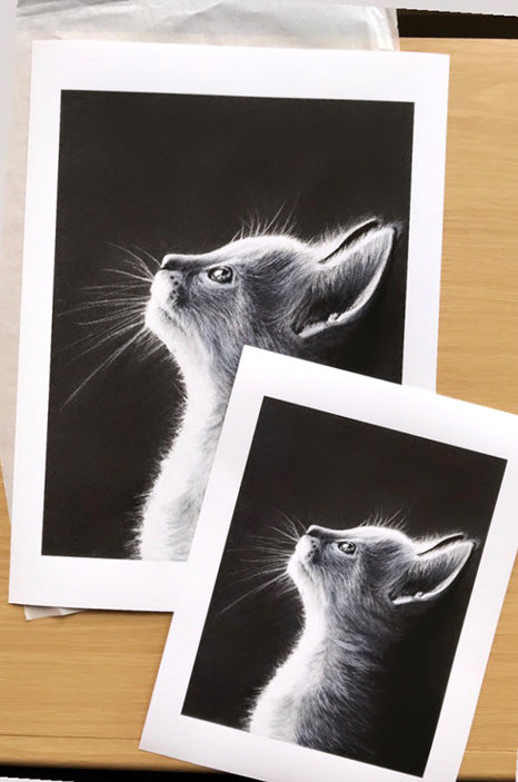 Dreamy Moonlight Kitten Prints