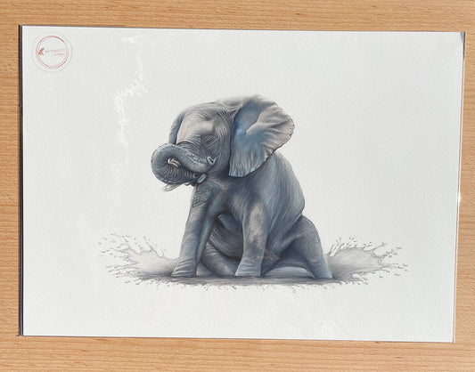 Baby Elephant Prints