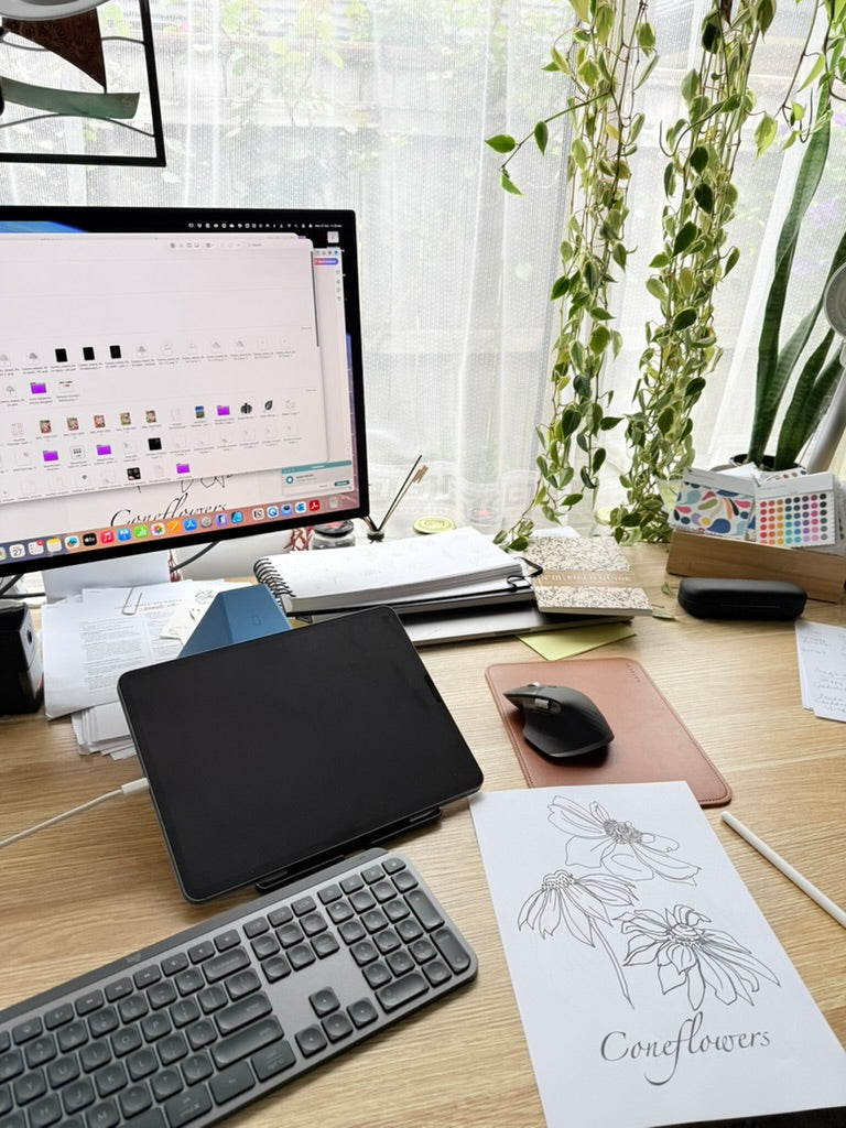 Coneflower Colouring Page