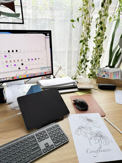 Coneflower Colouring Page