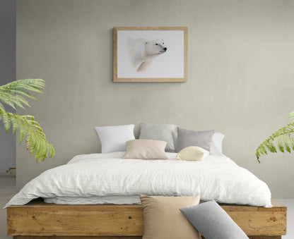 Polar Bear Prints