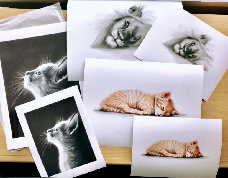 Dreamy Moonlight Kitten Prints