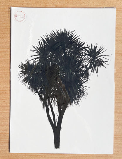 Cabbage Tree Prints