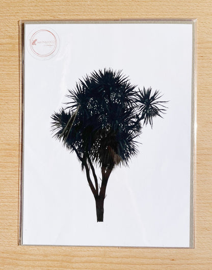 Cabbage Tree Prints