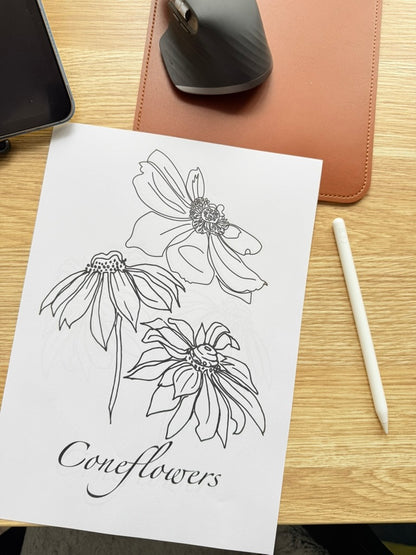 Coneflower Colouring Page