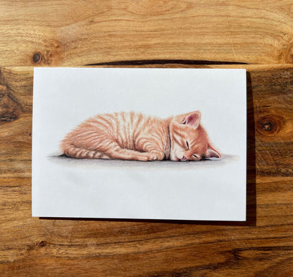 Ginger Kitten Cards