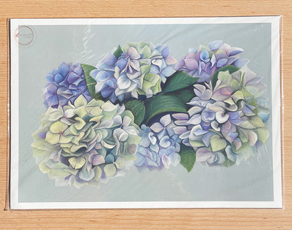 Hydrangeas Prints