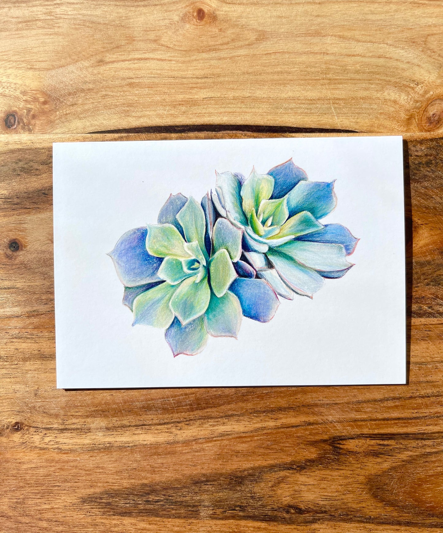 Succulents Cards