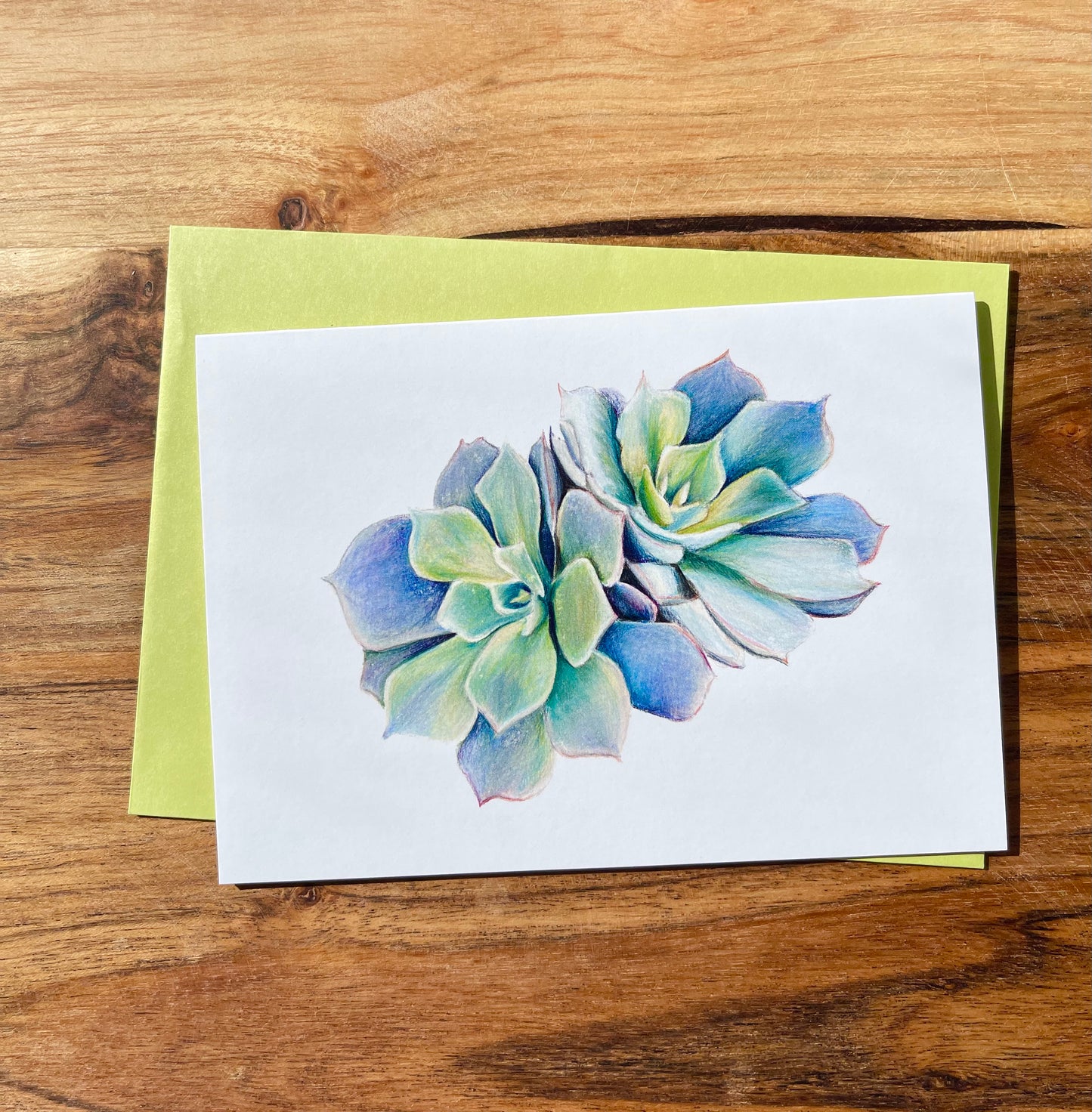 Succulents Cards