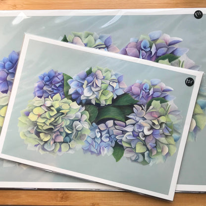 Hydrangeas Prints