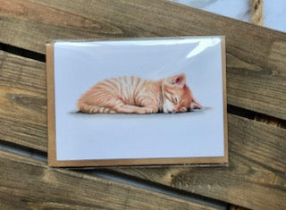 Ginger Kitten Cards