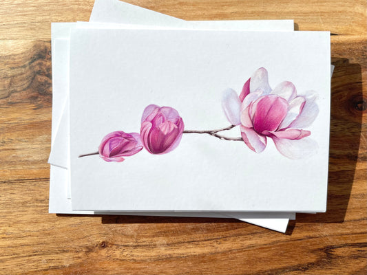 Magnolia #2 Greeting Cards