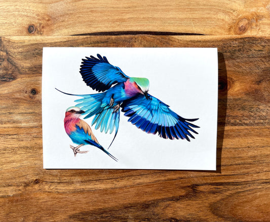 Lilac Breasted Roller Birds Cards