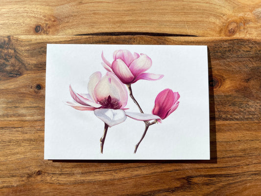 Magnolia #3 Greeting Cards