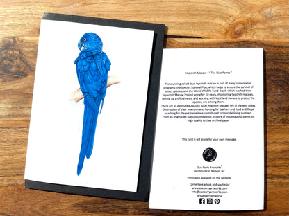 Blue Parrot Prints