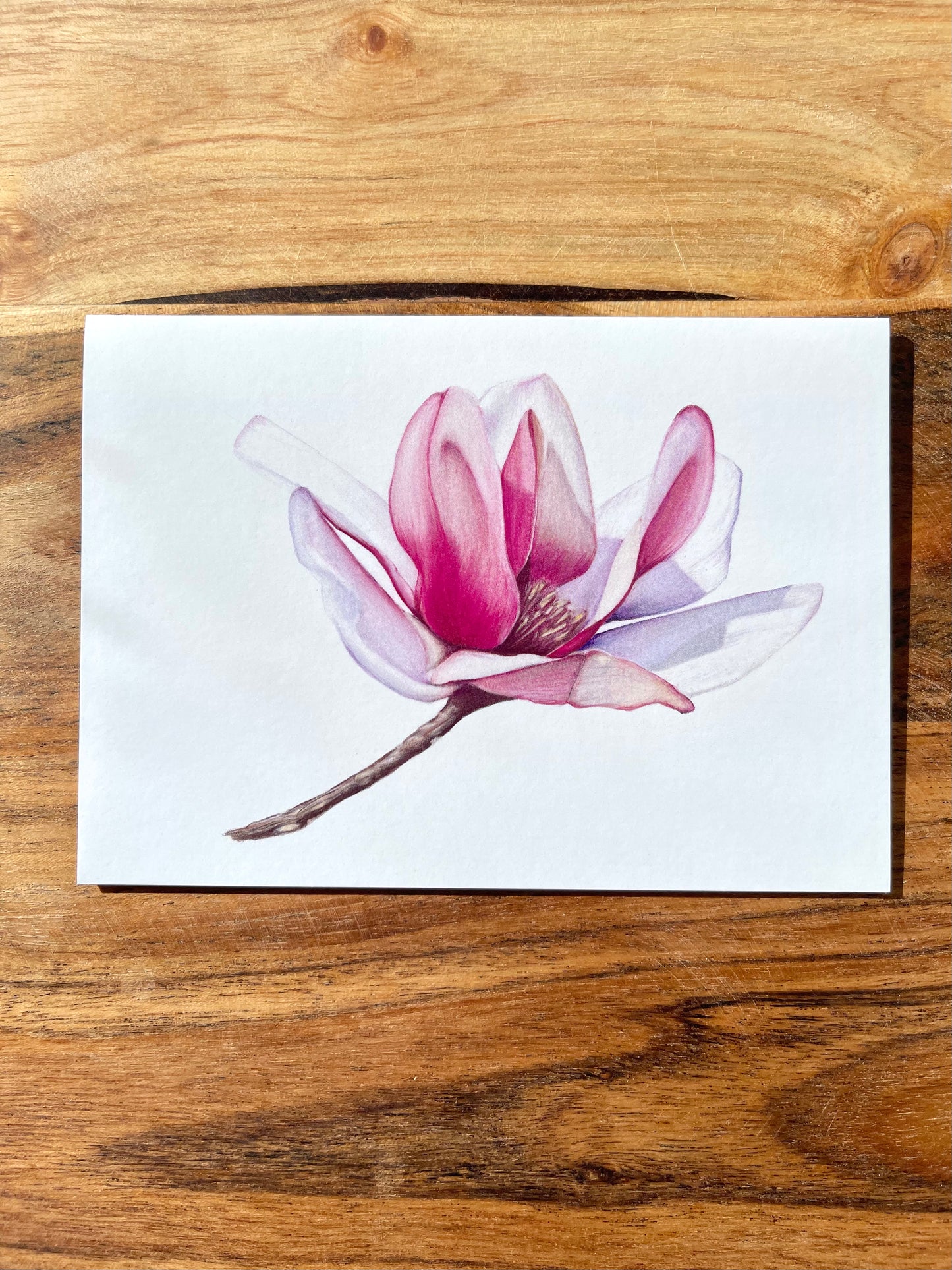 Magnolia #1 Greeting Cards