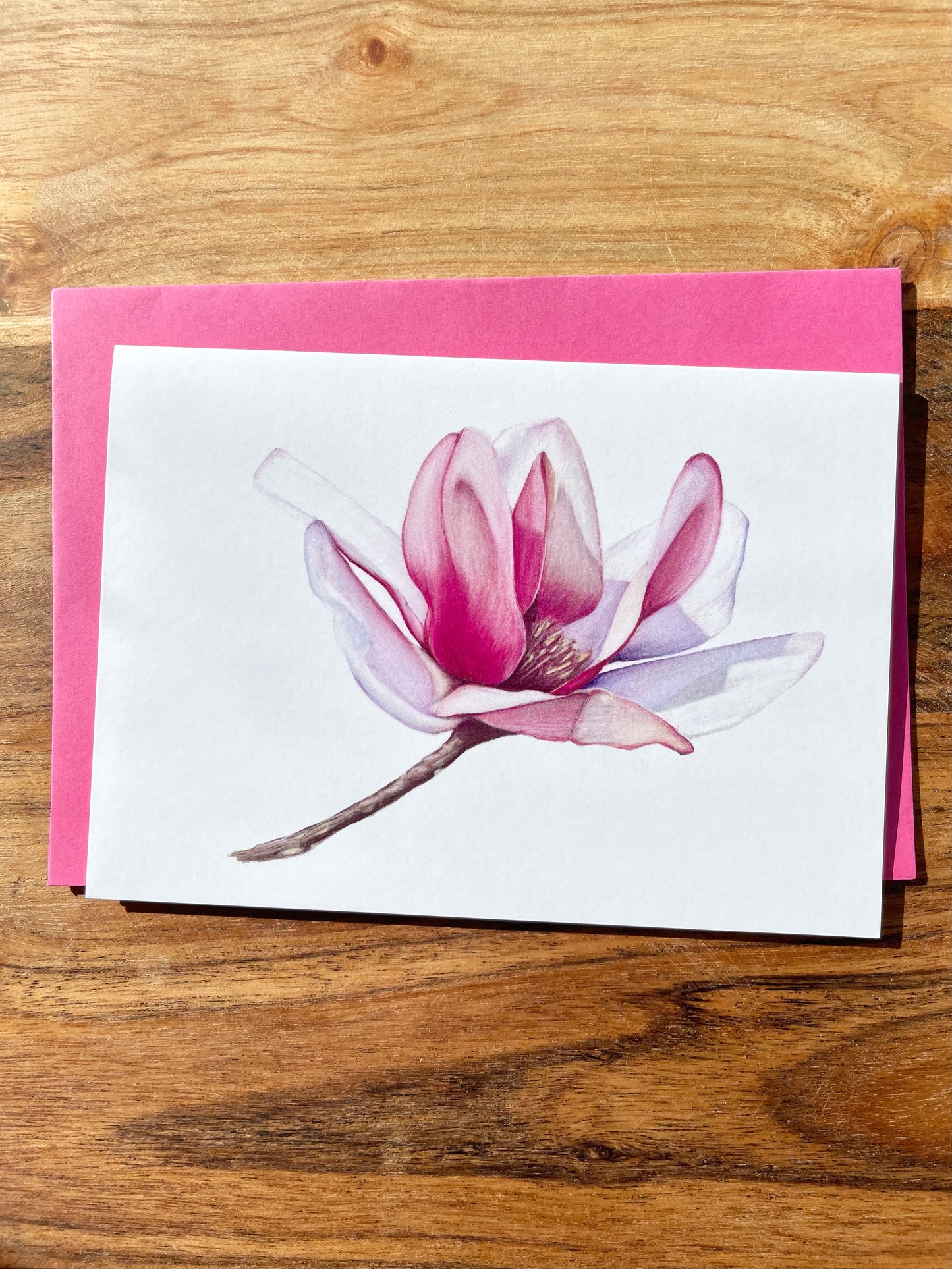 Magnolia #1 Greeting Cards