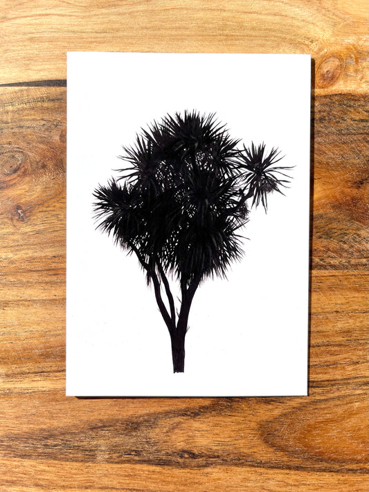 Cabbage Tree Cards