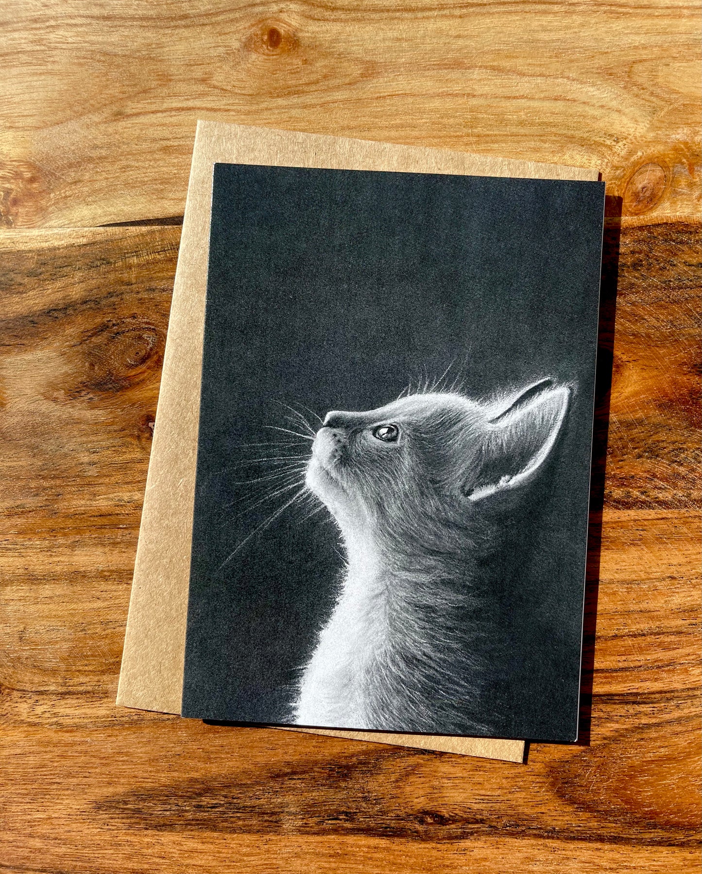 Dreamy Moonlight Kitten Cards