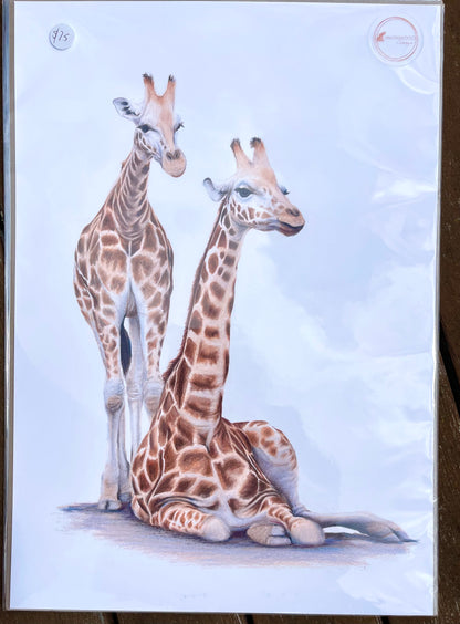 Mum & Baby Giraffe Prints