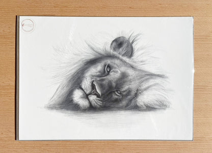 Lion Prints