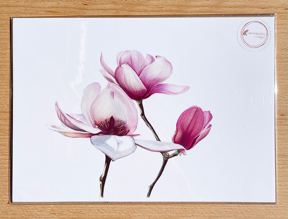 Magnolia #3 Prints