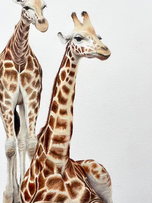 Mum & Baby Giraffe Prints