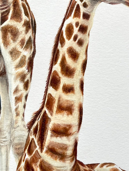 Mum & Baby Giraffe Prints