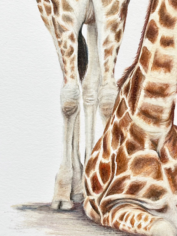 Mum & Baby Giraffe Prints