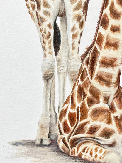 Mum & Baby Giraffe Prints