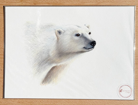 Polar Bear Prints