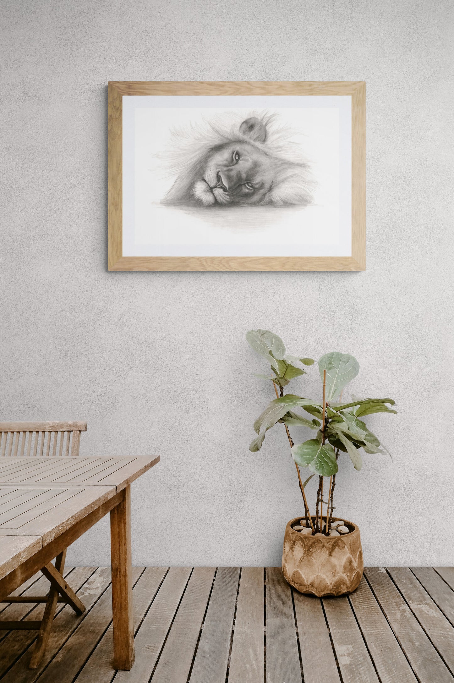Lion Prints