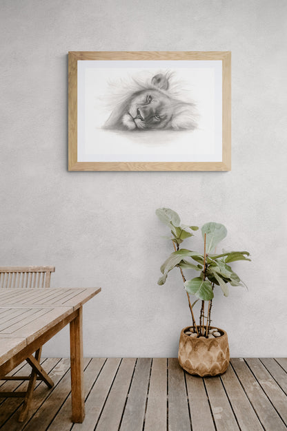 Lion Prints