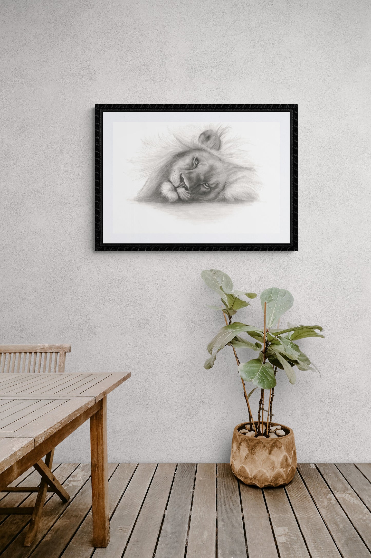 Lion Prints