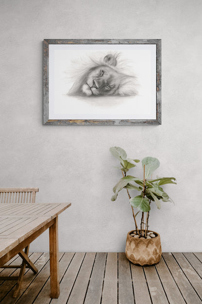 Lion Prints