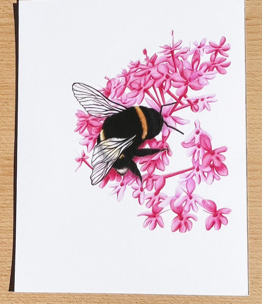 Bumble Bee #1 Prints