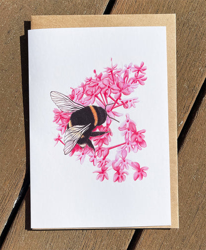 Bumble Bee #1 Cards